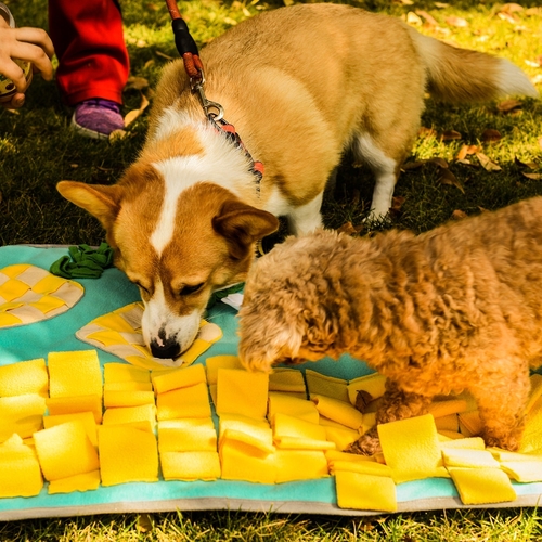 Pets Puzzle Toys Increase IQ Snuffle Mat-Pineapple Party - Image 5
